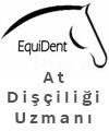 At Diilii Uzman