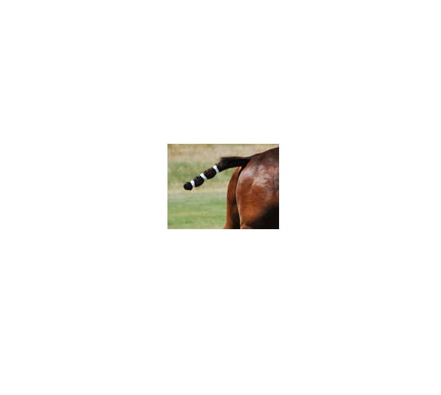 polo-pony-kuyruk-sailir